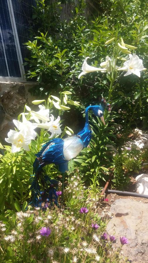 Domskazka Hotel Bruchim Qela' Alon Bagian luar foto